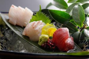 Ginka Ryokan: A Comprehensive Review - Guest Reviews and Ratings