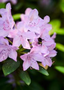 Hotel Erve Hulsbeek - Nearby Attractions