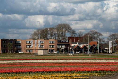 Hotel Lowietje Lisse – Keukenhof Review