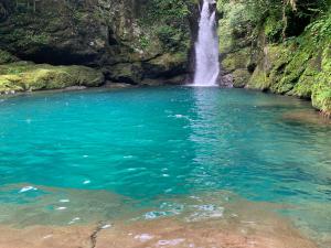 KAMENOI HOTEL Kochi - Policies and Regulations