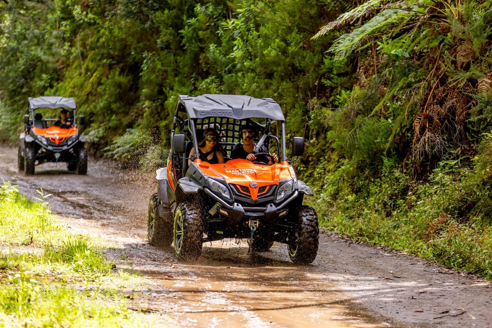 Madeira: OFF-ROAD BUGGY ADVENTURE TO FUNDURAS - Customer Reviews and Ratings