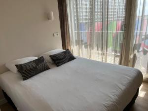 Palace Hotel Zandvoort - Nearby Attractions and Activities