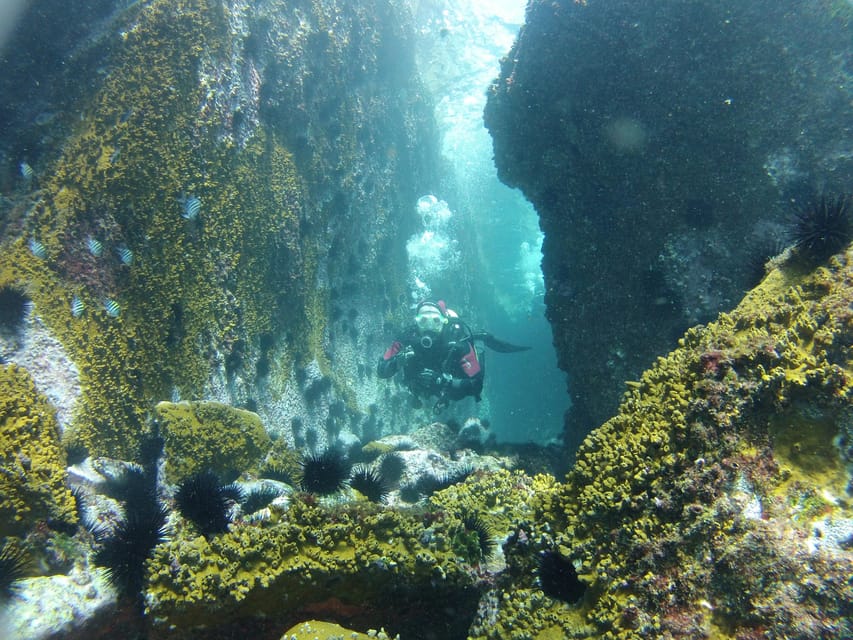 Rio: Best Dive Experience All Inclusive Scuba Diving Package - Why Choose This Package