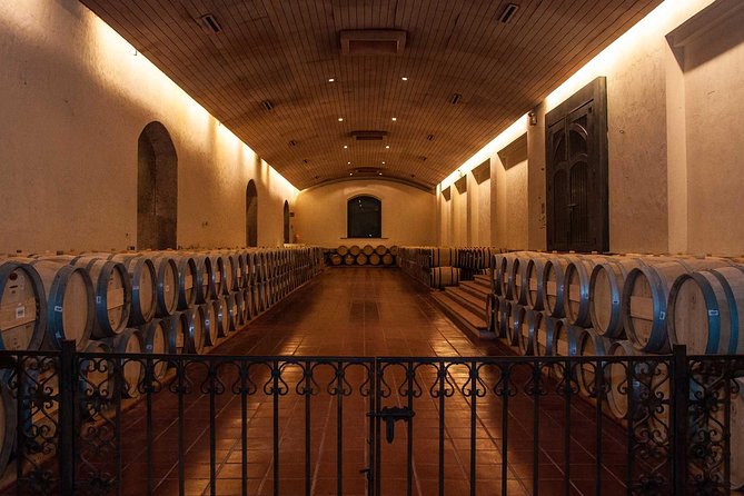 Santiago: Half Day Visit to Concha Y Toro Vineyard, Include Entrace & Transport - Explore the Winery and Vineyards