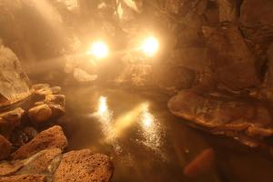 Shimizu Ryokan - Booking and Check-in