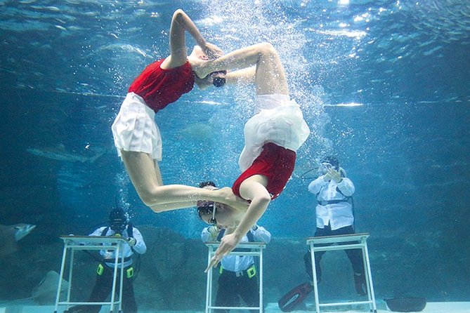 Skip the Line: The Greatest Urban Aquarium COEX Ticket(내국인불가) - Directions to the COEX Aquarium
