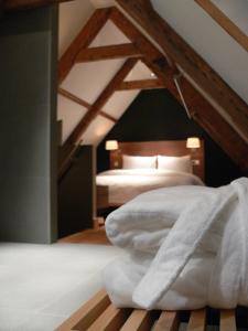 Texel Suites - Engaging Outdoor Activities