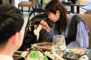 Yururi Nishiizu - Guest Experience and Satisfaction