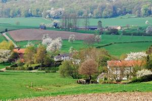 Fletcher Hotel-Restaurant Parkstad- South Limburg - Policies and Information