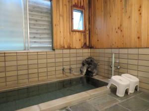 Hakone Miyanoshita Myojokan - Activities and Recommendations