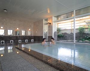 Hotel Yuzawa Yuzawa Denkiya - Frequently Asked Questions