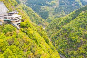 Iya Onsen - Dining and Culinary Offerings