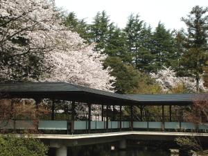 Matsusaki - Policies and Important Information