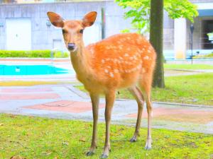 Reyzenit Kinosaki Suite VILLA - Frequently Asked Questions