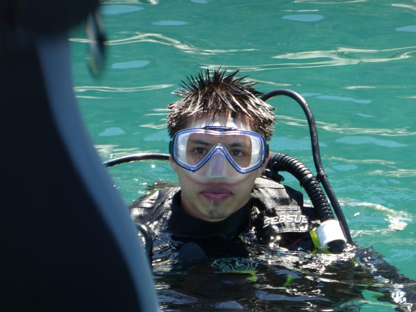 Rio: Best Dive Experience All Inclusive Scuba Diving Package - Marine Life and Scenery