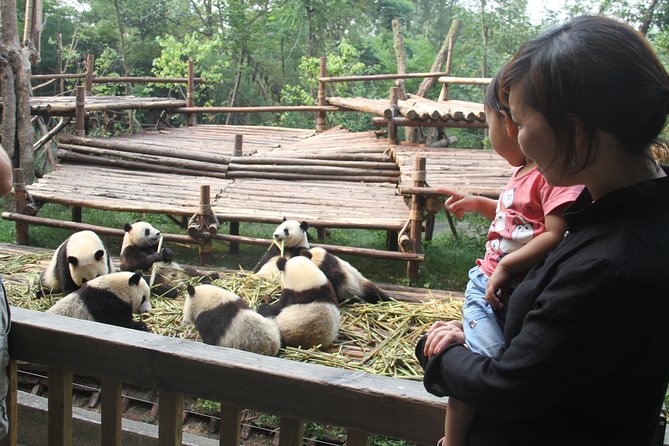 7-Day Private Tour to Chengdu City Highlight, Mount Emei and Jiuzhaigou