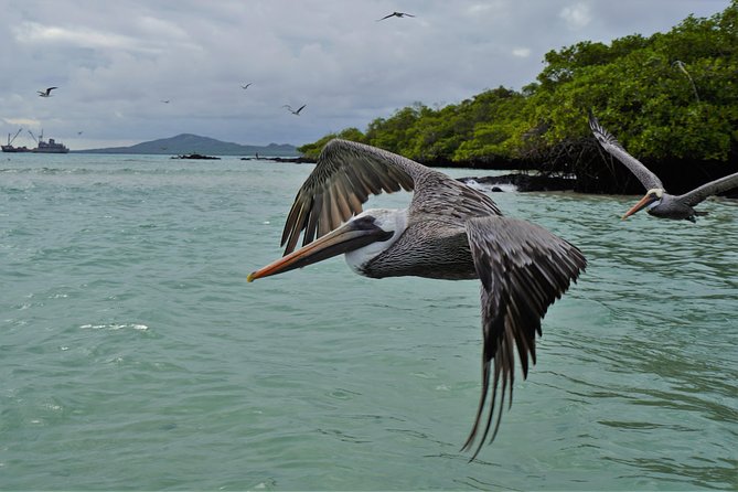 7-Day The Best of Galapagos Adventure