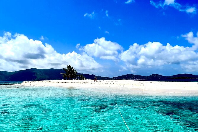 Family Snorkel Safari. ️Private Boat! - Destination Highlights
