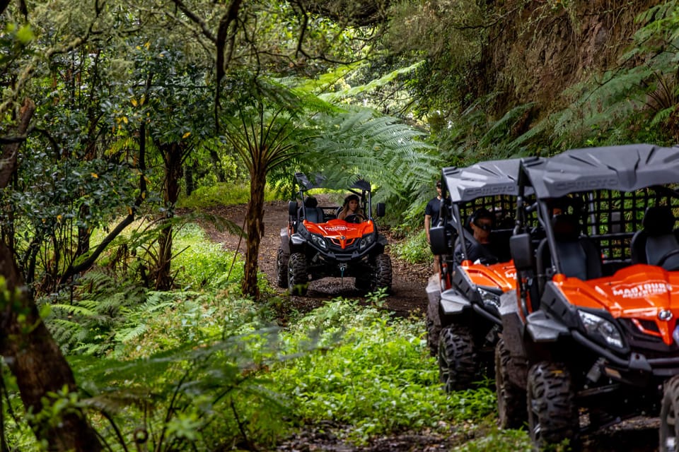 Madeira: OFF-ROAD BUGGY ADVENTURE TO FUNDURAS - Exploring Madeiras Natural Wonders