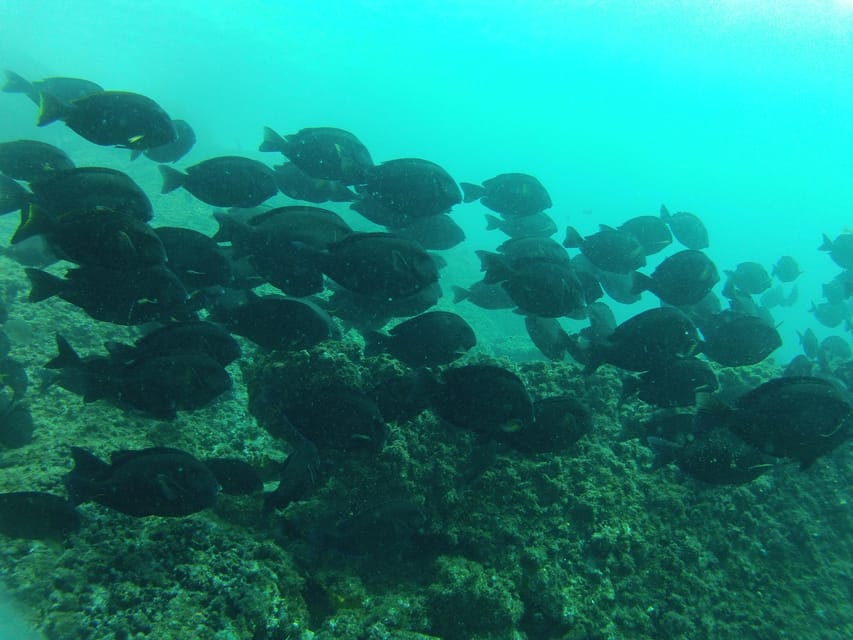 Rio: Best Dive Experience All Inclusive Scuba Diving Package - Duration and Schedule Information