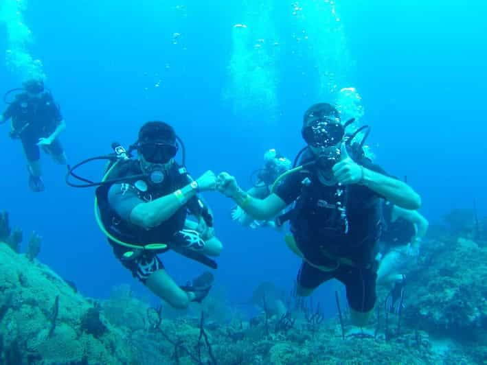 Diving Catalina Island From Punta Cana | PT