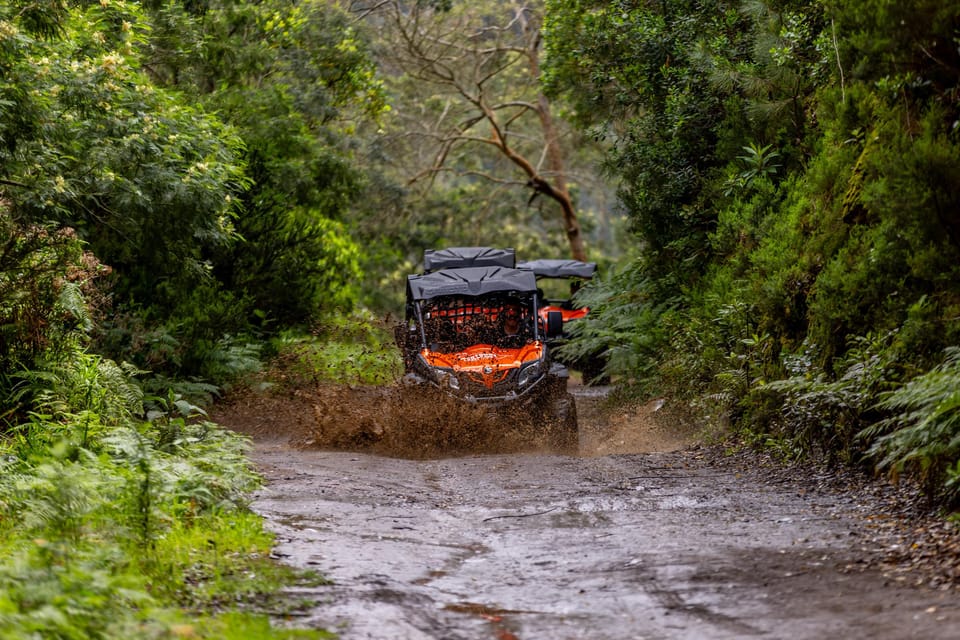 Madeira: OFF-ROAD BUGGY ADVENTURE TO FUNDURAS - Recap