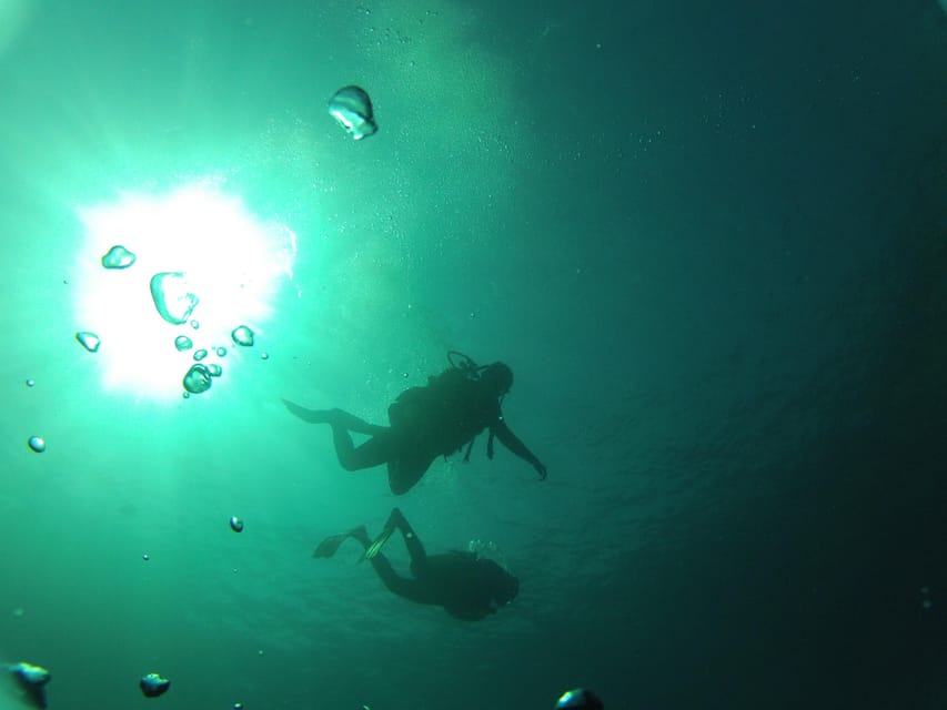 Rio: Best Dive Experience All Inclusive Scuba Diving Package - Pickup and Included Services