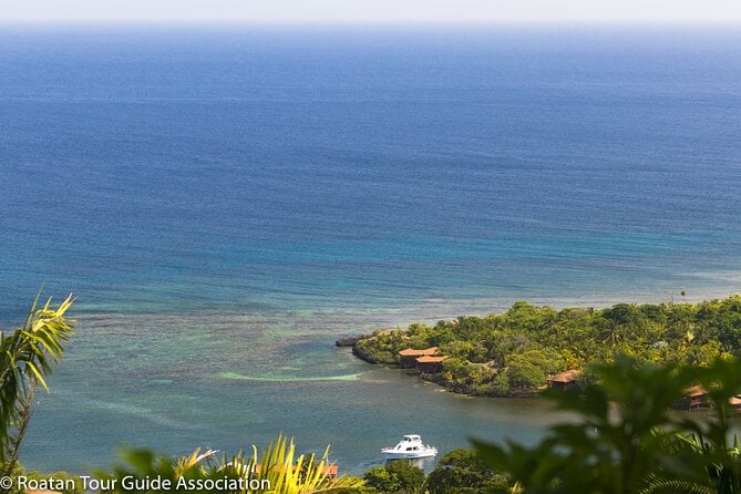 2 Best Shopping Tours In Roatan