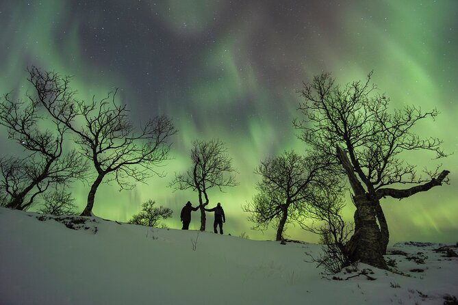 A Quest to Find the Northern Lights, Tromsø (Small Group Size)