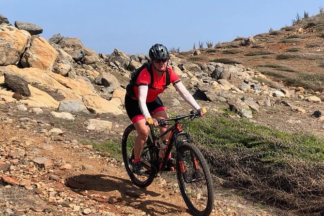 Advanced and Extreme Customized Mountain Bike Around the Island 75KM - About Your Stay