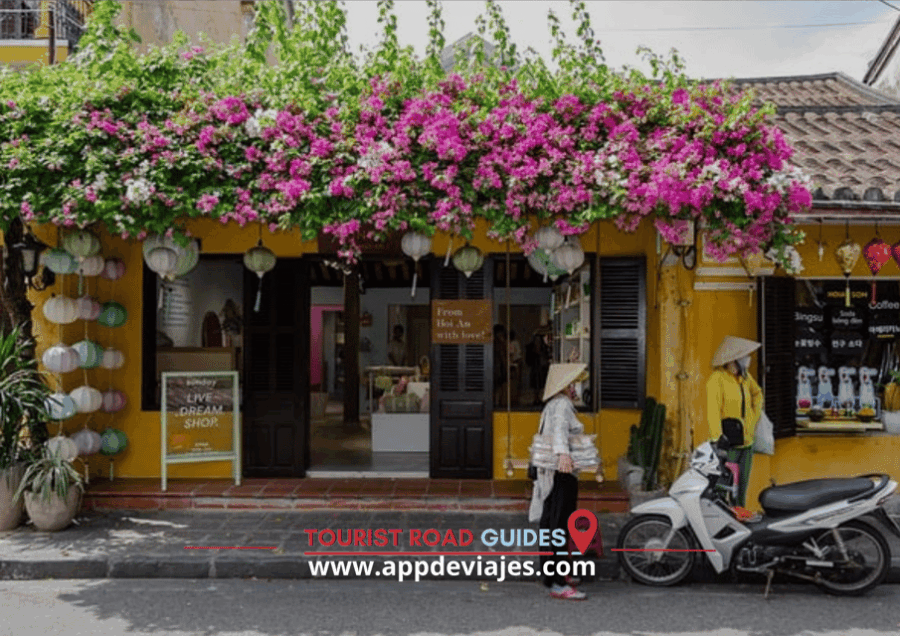 App Self-Guided: Tour Hoi an - Vietnam - Tour Overview and Pricing