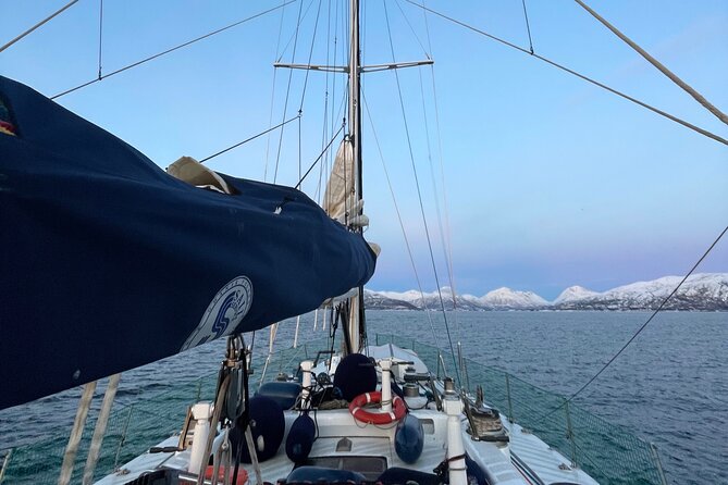 Aurora Borealis Cruise With Dinner in Tromso