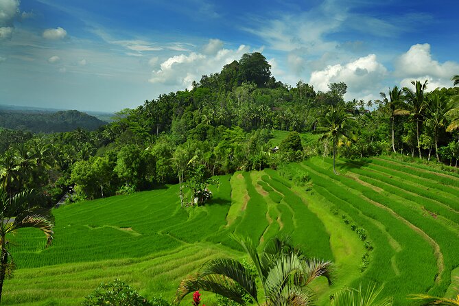 Bali Full Day-Tour: Kintamani Volcano and Besakih Temple Tour