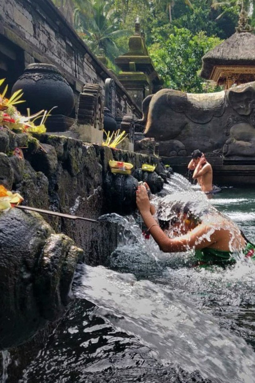 BALI : Full Days Ubud Premium Private Tour - Tour Overview