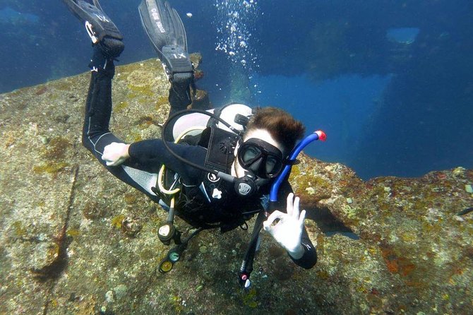 Bali Introductory Scuba Dive at Tulamben Liberty Shipwreck - Key Points