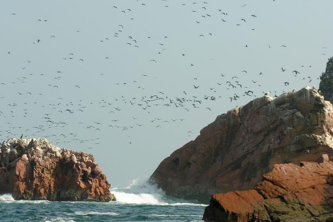 Ballestas Islands Sightseeing Boat Ride From Paracas