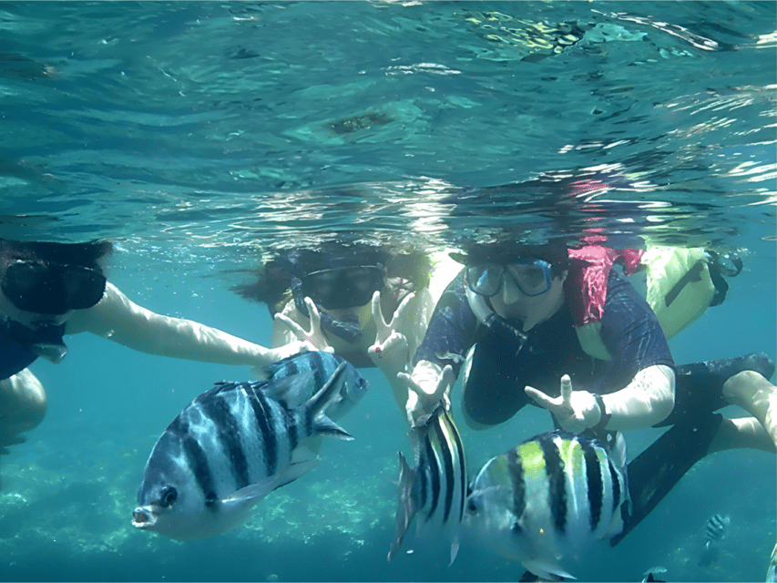 Best Snorkeling in Bali With Optional Activities & Tour