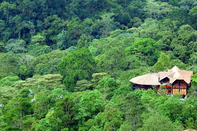 Birdwatching Private Tour at Chicaque Natural Park With Lunch