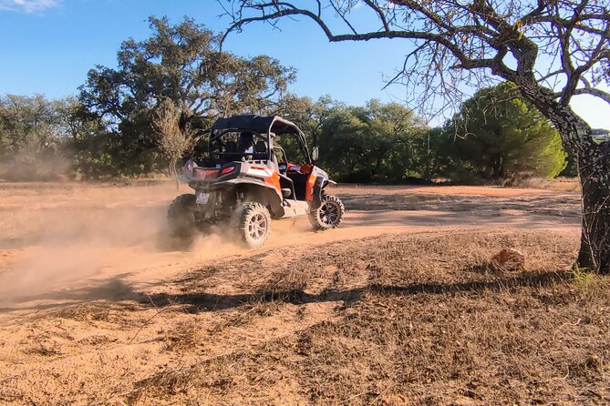 Buggy Expedition - Half-Day Off-Road Guided Tour From Albufeira