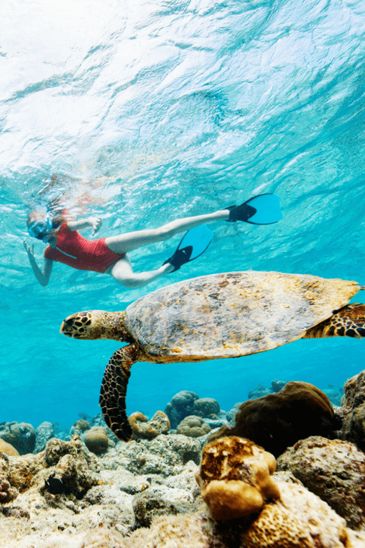 Cabo San Lucas: Snorkel Tour + Tour to the Arch