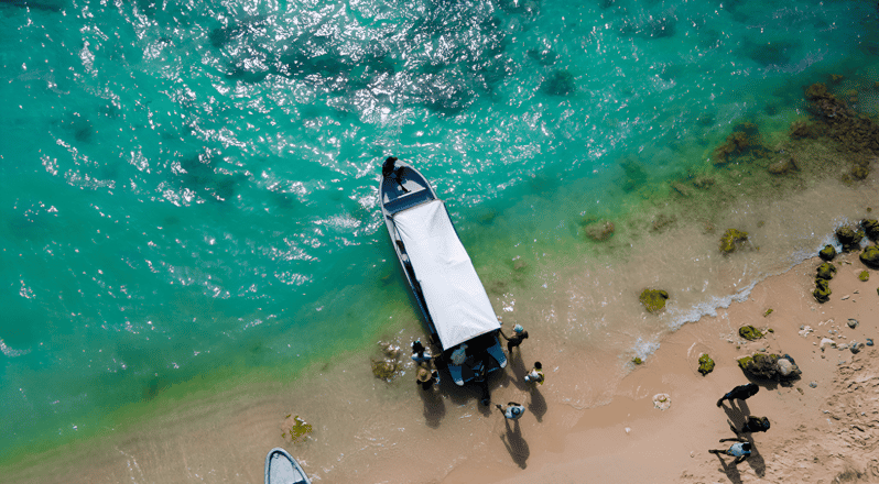 Cartagena: VIP Tour to Playa Tranquila With Snorkel and Lunch - Tour Overview and Pricing