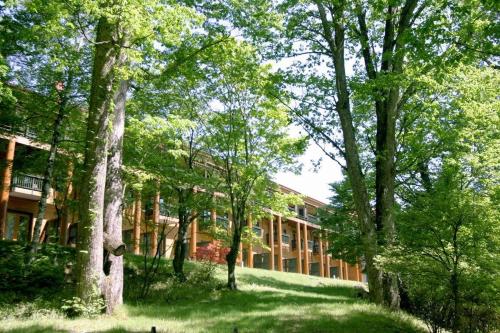 Chuzenji Kanaya Hotel - Key Points