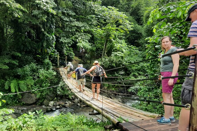 Dark View Falls & Botanical Gardens With Trubb Taxi Tours