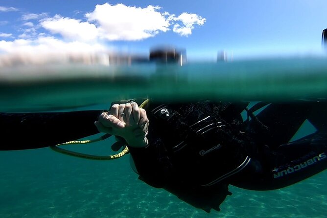 Discover the Underwater World PHOTO and VIDEO for Free