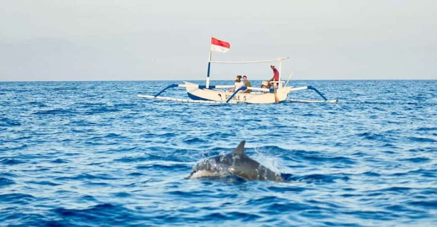 Dolphin With Sunrise in Lovina