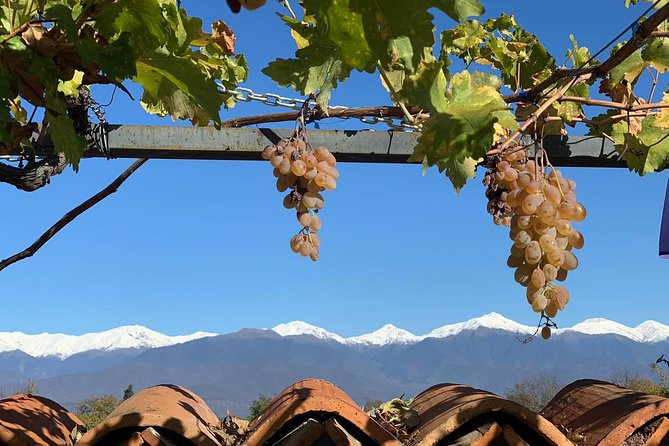 ️ Kakheti Tour - Private Full Day Wine Tour With Lunch and Wine Tasting - Tour Overview