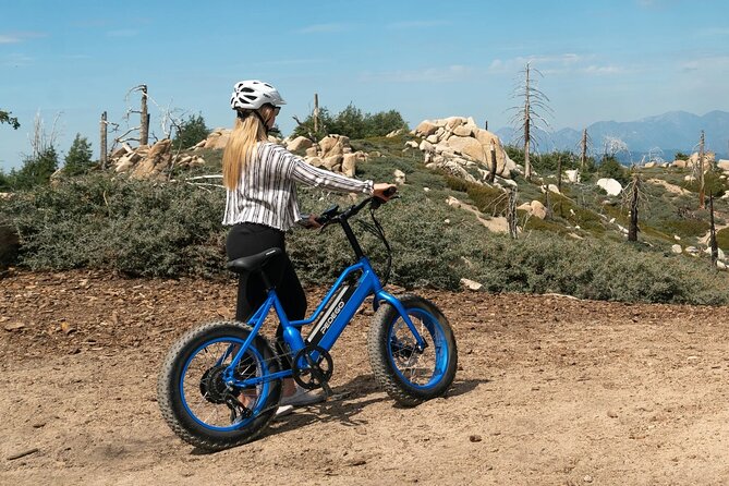 Electric Bike