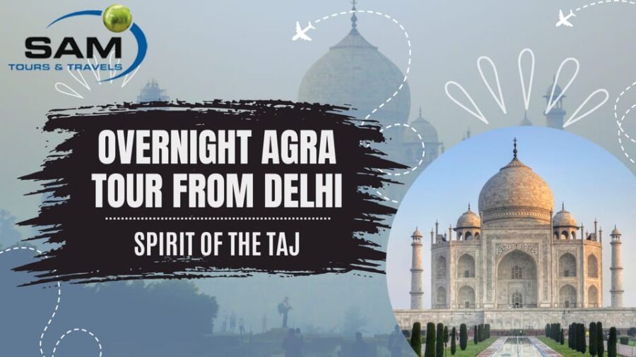 From Cochin: Cruise to Agra Tour With Mumbai Port Transfer - Tour Overview and Pricing