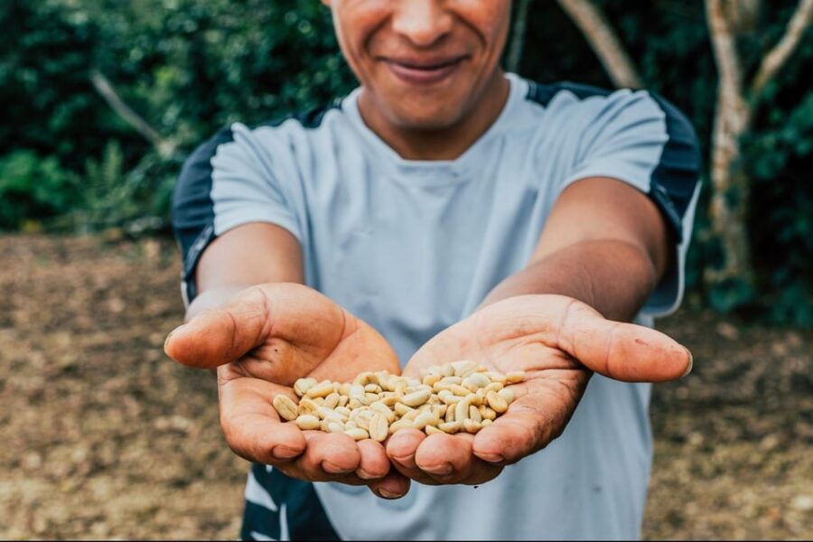 From Guatape: 1-Hour WAKEBOARD + Complete COFFEE TOUR