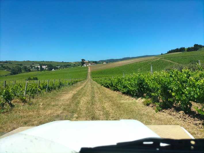 From Lisbon: Top Winery Visit, Tastings & 4WD Vineyards Tour